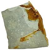 Fossil Stone, Faux Fish Fossils Real Rock Chinese Wolffin Fish Fossil Fish Specimen Stone Ornaments for Basic Paleontology Biological Science Education Supply (Stand Not Included), Fossil