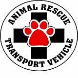 Imagine This 4-3/4-Inch by 4-3/4-Inch Car Magnet Social Issues Circle, Animal Rescue Transport Vehicle