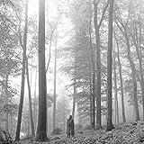folklore[Edited]