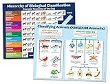 ZOCO – Classification of Animals & Biological Hierarchy – Science Poster Set, Laminated 17x22 – Must Have 2-Pack for Biology Classroom