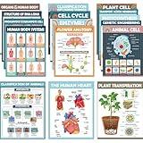 16Pcs Boho Science Posters for Classroom Middle School Supplies Biology Poster Classroom Decoration Life Science Posters Charts for Teachers High School Education Bulletin Classroom Wall Decor