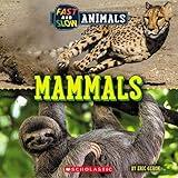 Mammals (Wild World: Fast and Slow Animals)