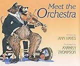 Meet the Orchestra