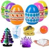 6PCS Prefilled Easter Science Eggs Basket Stuffer STEM Activity Experiment Kit for Kids Easter Hunt Basket Stuffer Party Favor for Boys and Girls