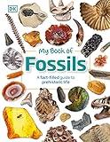 My Book of Fossils: A fact-filled guide to prehistoric life