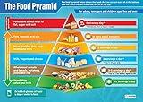 Daydream Education Food Pyramid Science Poster - Laminated - EXTRA LARGE 33” x 23.5” - STEM Middle & High School Classroom Decoration - Wall Charts
