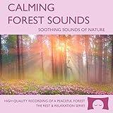 Calming Forest Sounds - Soothing Nature Ambience for Stress Relief, Meditation and Creating a Peaceful Environment - Natural White Noise