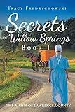 Secrets of Willow Springs: Book 1: An Amish Christian Book (The Amish of Lawrence County)
