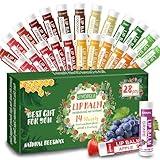 Yopela 28 Pack Natural Lip Balm Bulk with Vitamin E and Coconut Oil - Moisturizing, Soothing, and Repairing Dry and Chapped Lips Valentine's Gift - 14 Flavors - Non-GMO