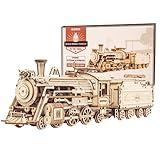 ROKR 3D Wooden Puzzle for Adults-Mechanical Train Model Kits-Brain Teaser Puzzles-Vehicle Building Kits-Unique Gift for Kids on Birthday/Christmas Day(1:80 Scale)(MC501-Prime Steam Express)