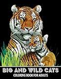 Big and Wild Cats Coloring Book for Adults: Tigers, Lions, Leopards, Cougars, Jaguars and more! - Colouring Book for Kids and Grown-Ups