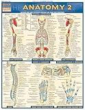 Anatomy 2 QuickStudy Laminated Reference Guide (QuickStudy Academic)