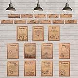 Zonon 22 Pieces Literature Posters Classroom Decorations Elements of English Language and Literature Grammar Educational Posters English Art Print for Middle High School(Vintage)