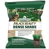 Jonathan Green (10600) Black Beauty Dense Shade Grass Seed - Cool Season Lawn Seed (3 lb)