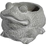 Classic Home and Garden Cement Buddies Animal Planter - Cute Desk Decoration - UV Coated Animal Vase w/Removable Drain Plug - Succulent Planter for Indoor/Outdoor Use (Frog Planter, Natural, Large)