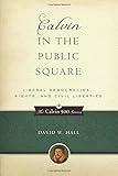 Calvin in the Public Square: Liberal Democracies, Rights, and Civil Liberties