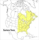A Peterson Field Guide To Eastern Trees: Eastern United States and Canada, Including the Midwest (Peterson Field Guides)