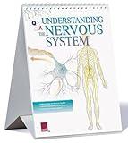 Understanding the Nervous System Flip Chart (Anatimical Flip Chart)