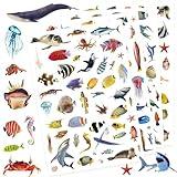 Generic Ocean Animals Stickers 820 Count Ocean Sea Animal Fish Shark Stickers Party Favors Gifts Stickers Decor for Scrapbook Calendar Planner Gift Wrap Decor (Ocean)