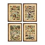 Adolphe Millot Animal Vintage Print Set Mammals and Reptiles Chart Home Office Decor Mammiferes Wall Art Wild Animal Poster French Biology Room Decor 8x10 Unframed Prints