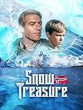 Snow Treasure