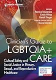 Clinician's Guide to LGBTQIA+ Care: Cultural Safety and Social Justice in Primary, Sexual, and Reproductive Healthcare