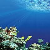 Scrapbook Customs 14427 Great Barrier Reef Australia Companion 12 x 12 Scrapbook Paper - 1 Sheet
