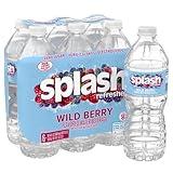 Splash Refresher Wild Berry Flavor Water Beverage 16.9 Fl Oz Plastic Bottle Pack of 6
