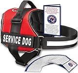 Service Dog Vest with Hook and Loop Straps and Handle - Harness is Available in 8 Sizes from XXXS to XXL - Service Dog Harness Features Reflective Patch and Comfortable Mesh Design Bright Red