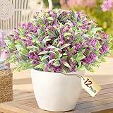 WOHSEROM Babys Breath Artificial Flowers - 12 Bundles UV Resistant Hyper Realistic Faux Plants Gypsophila for Outdoor Porch Planters, Wedding, Garden Decoration (Rose Red)