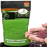 Outsidepride Midnight Kentucky Bluegrass Seed - 5 Lbs. Cold & Drought Tolerant, Sun-Loving Lawn Grass Seed, w/High Traffic Tolerance & Deep Root System, OptiGrowth Coated for Better Establishment