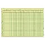 National Analysis Pad, 13 Columns, Green Eye-Ease Paper, Numbered Lines, Side-Punched, 11" x 16.375", 50 Sheets (45613)