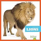 Lions (Bullfrog Books: Big Cats)