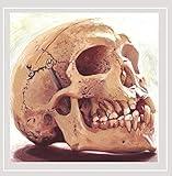 26 Scientists One Anning-Malthus 1