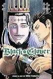 Black Clover, Vol. 25: Humans And Evil
