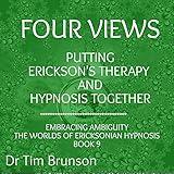 Four Views: Putting Erickson’s Therapy and Hypnosis Together: Embracing Ambiguity: The Worlds of Ericksonian Hypnosis, Book 9