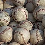 Sports History: Baseball (Henry Gindt's "Sports Legends" Series)