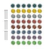 WEXWE Tools 48pcs 1 Inch Radial Bristle Disc Kit with 3mm Shank for Rotary Tools,Detail Abrasive Wheel for Jewelry Wood Metal Polishing, Bristle Wheel with Grit 50-1000