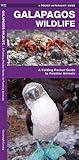 Galapagos Wildlife: A Folding Pocket Guide to Familiar Animals (Pocket Naturalist Guide Series) by Kavanagh, James (2001) Paperback