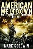 American Meltdown: A Post-Apocalyptic Tale of America's Coming Financial Downfall (The Economic Collapse Chronicles Book 2)