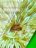 Secrets of the Adriatic