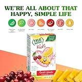 TRUE LEMON Fruit Punch Packets - Low Sugar, No Preservatives Kids Hydration Drink Mix