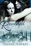 Ravished by the Ice Palace Pack: Werewolf BBW Paranormal Shifter Menage Erotica