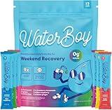 Waterboy Weekend Recovery Sample Pack | 3,200mg Electrolyte Powder Packets | Ginger + L-Theanine + Vitamins | No Sugar, All Natural, Gluten Free | 12 Drink Stick Mixes (Sample Pack)