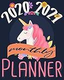 2020-2021 Monthly Planner: Blue Sky 8x10inch 2 Years Monthly Planner Calendar Schedule Organizer From January 1,2020 to December 31,2021 (24 Months ... With Holidays and Motivational Quotes