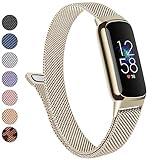Metal Band for Fitbit Luxe Bands Women Men, Stainless Steel Mesh Loop Adjustable Magnetic Wristband Replacement Strap Compatible with Fitbit Luxe Fitness and Wellness Tracker (Champagne Gold)