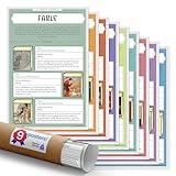 Quarterhouse 9 Poster Literary Genres Set, English Classroom Learning Materials for K-12 Students and Teachers, 12 x 18 Inches
