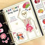 Human Body Anatomy Busy Book for Kids，Interactive Anatomy Binder Sensory Educational Busy Book，Montessori Busy Book Human Body Model Preschool Learning Activities Book for Kids (1 Set)