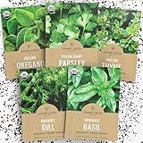Organic Herb Seeds Variety Pack - 5 Individual Packs - 2025 Season - Basil, Oregano, Dill, Thyme & Parsley. for Indoor & Outdoor Planting (Non-GMO, Certified Organic)