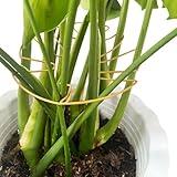 GDLCETK 4PCS Adjustable Monstera Plant Support Stakes - Indoor Plant Accessories with Secure Clamps, Easy to Install & Customize for Tall Plants | Durable Metal Design for Healthy Growth